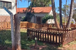 NOSSO MUNDO EM FOTOS